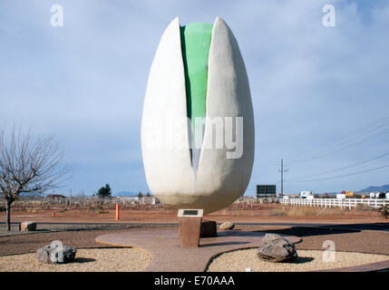 Weltweit größte Pistazie in Alamogordo, New Mexico Stockfoto