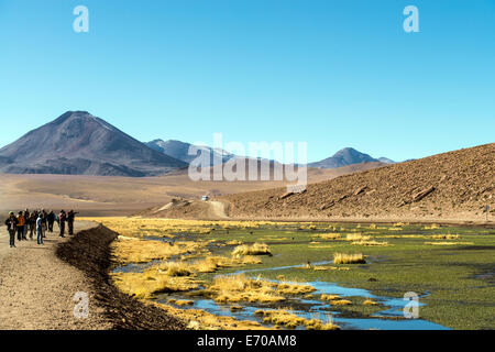 Putana Fluss San Pedro de Atacama-Chile-Südamerika Stockfoto