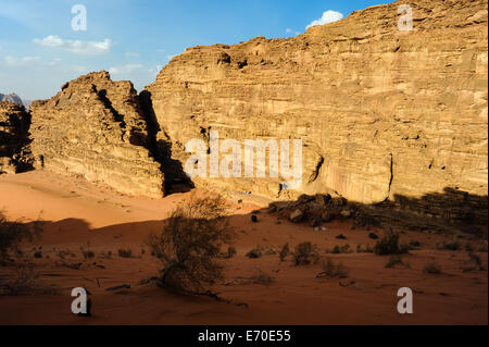 Jordanien. Wadi Rum ist auch bekannt als das Tal des Mondes. Beduinen-Camp in der Schlucht. Stockfoto