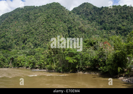 Die huallaga River im Nationalpark von Tingo María. huánuco Abteilung. Peru. Stockfoto