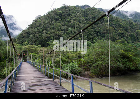 Tingo María Nationalpark. Regenwald in huánuco Abteilung. Peru. Huallaga River. Stockfoto