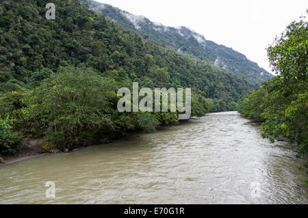 Tingo María Nationalpark. Regenwald in huánuco Abteilung. Peru. Huallaga River. Stockfoto