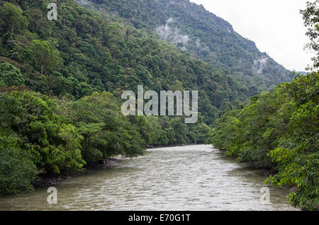 Tingo María Nationalpark. Regenwald in huánuco Abteilung. Peru. Huallaga River. Stockfoto