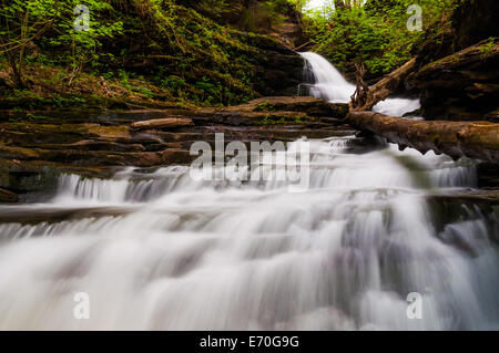 Nachschlagen von Huron fällt in Glen Leigh Ricketts Glen State Park, Pennsylvania. Stockfoto