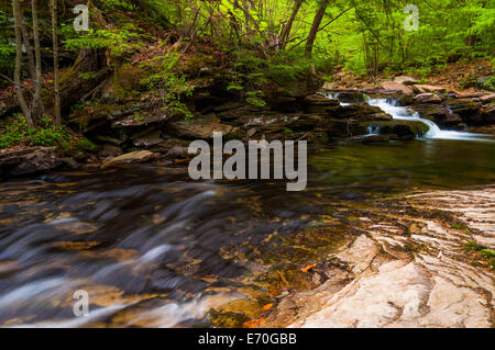 Stream in Ricketts Glen State Park, Pennsylvania.