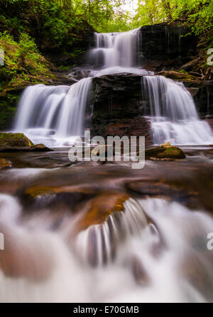 Tuscarora Wasserfälle und kleine Wasserfälle an Küche Bach in Ganoga Glen, Ricketts Glen State Park, Pennsylvania. Stockfoto