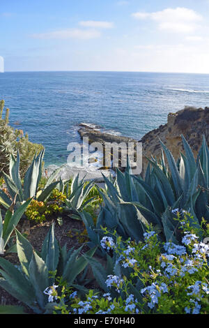 Laguna Beach Küste & Gärten Stockfoto