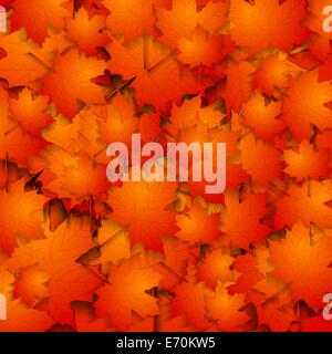 Vektor Herbst Hintergrund mit Ahorn-Blätter Stockfoto