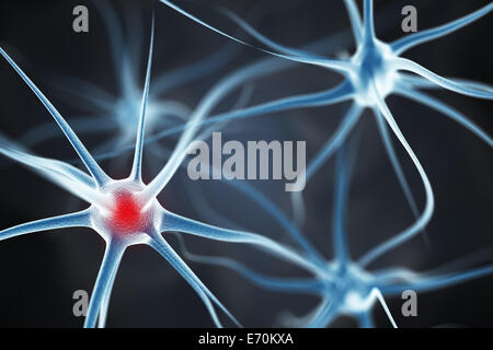 Nervenzellen im Gehirn Stockfoto