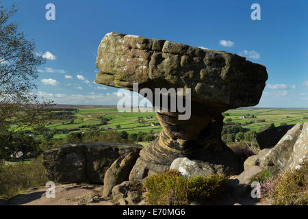 Brimham Rocks in Nidderdale, The Yorkshire Dales, England. Stockfoto