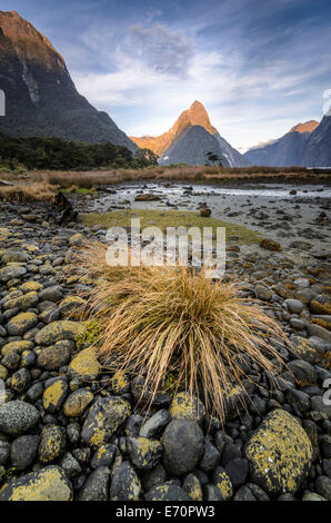 Mitre Peak, Milford Sound, Fiordland-Nationalpark, Südinsel, Neuseeland Stockfoto