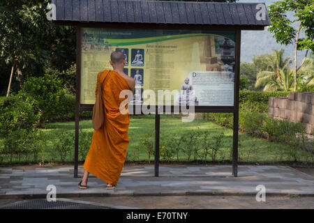 Borobudur, Java, Indonesien.  Junge buddhistische Mönch Lektüre über die Buddha-Statuen auf den Tempel. Stockfoto
