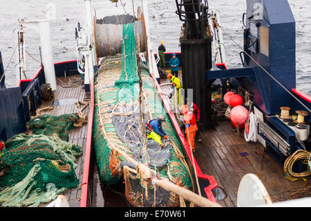 Pollack Angeln in der Bering-See - Juli 2014 Stockfoto