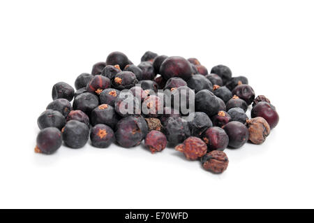 ein Haufen von Wacholderbeeren auf weißem Hintergrund Stockfoto