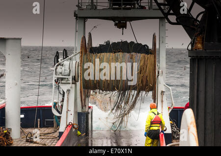 Pollack Angeln in der Bering-See - Juli 2014 Stockfoto