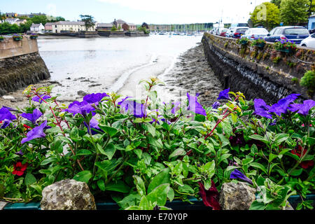 Kinsale Harbour, County Cork, Irland. Stockfoto