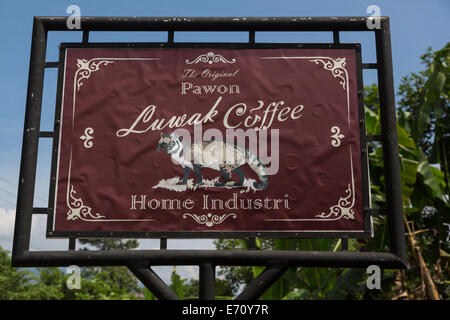 Borobudur, Java, Indonesien.  Gourmet-Kaffee.  Ein Zeichen, eine kleine Werbung Shop Verkauf Luwak Kaffee, eine indonesische Spezialität. Stockfoto
