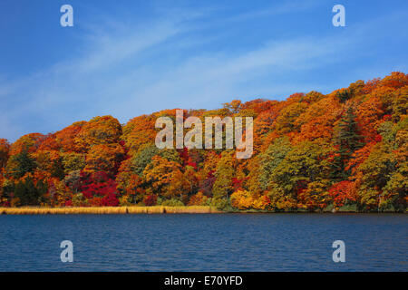 Akita Präfektur Blätter im Herbst Saison Onuma Stockfoto