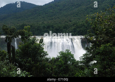 Athirapally Wasserfälle, Kerala, Indien. Athirappally fällt in den Western Ghats. Stockfoto