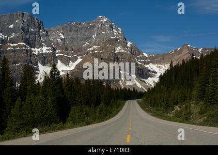Weg durch den Pinienwald führt zu Berghänge Stockfoto