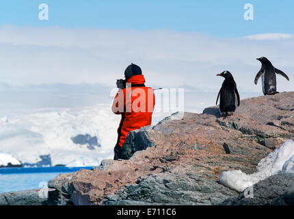 Eine Person in eine orangefarbene Jacke fotografieren die Landschaft von der antarktischen Halbinsel, beobachtet von zwei Gentoo Penguins. Stockfoto