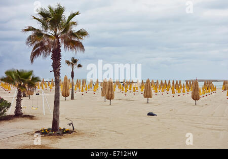 Palmen und Reihen von gefalteten Sonnenschirme am Strand, Pescara, Abruzzo, Italien Stockfoto