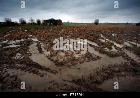 Ypern-Ieper WW1 Schlachtfeld, 1914-1918, Belgien. Deutsche Bunker in der Nähe von Langemark auf dem Pilkem-Grat. Februar 2014 Schlamm und Regen ein Stockfoto