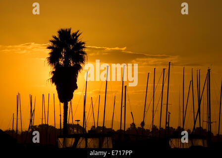 Marina Sonnenaufgang, Mission Bay Park, San Diego, Kalifornien Stockfoto