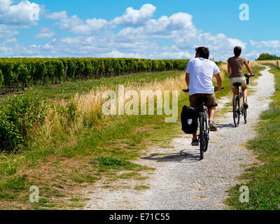 Paar Radfahren neben einem Weinberg in der Nähe von Dorf von Talmont Sur Gironde in Charente-Maritime Bereich der Süd-West Frankreich Stockfoto