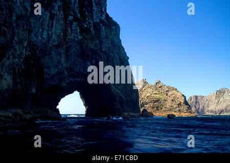 "Hole in The Rock" befindet sich in der Bay of Islands an der Nordspitze von Cape Brett, Nordinsel, Neuseeland. Stockfoto