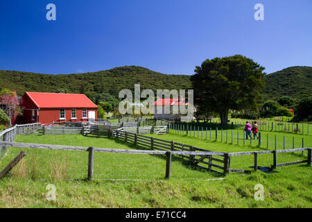 Altes Bauernhaus in der Bay of Islands in der Region Northland, Nordinsel, Neuseeland. Stockfoto