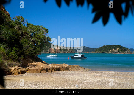 Ausflugsboote dock auf einer Insel in der Bay of Islands, Nordinsel, Neuseeland. Stockfoto