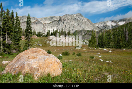 Berg-Clearing Stockfoto