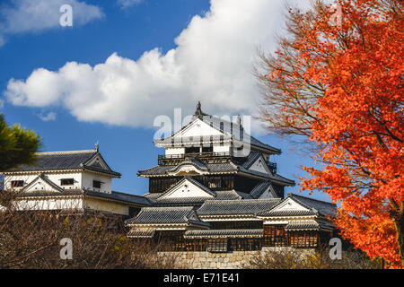 Matsuyama Schloss in Matsuyama, Japan. Stockfoto