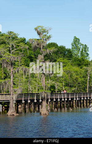 USA, Alabama, Theodore in der Nähe von Mobile. Historische Bellingrath Gardens und Zuhause, Bayou Strandpromenade der Gärten. Stockfoto