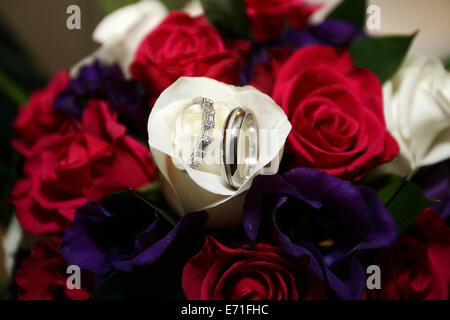 Ein paar Diamant Eheringe Set eine der Bräute Bouquet von Blumen, rot, weiß und lila Rosen gemacht. Stockfoto