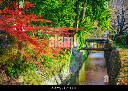 Kyoto, Japan am Philosophenweg im Herbst. Stockfoto