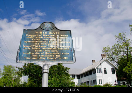 USA, Alabama, Marengo County, Demopolis. Bluffen Sie, Hall, historischen antebellum Haus und Museum. Stockfoto