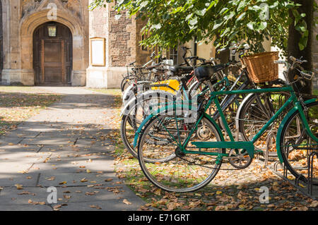 Fahrräder geparkt auf Ständen und gesperrt; vor einer der Eingänge zum Trinity College in Cambridge. Stockfoto