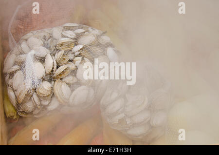 USA, Massachusetts, Martha's Vineyard. Dampfend heiße traditionelle New England Lobster und Clam backen. Stockfoto
