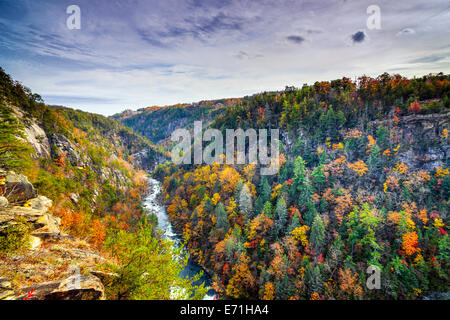 Tallulah Schlucht in Georgia/USA während der Herbstsaison. Stockfoto