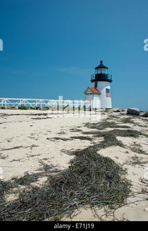 USA, Massachusetts, Nantucket. Seetang bedeckt Strand vor Brant Point Lighthouse, das zweite älteste in den USA. Stockfoto