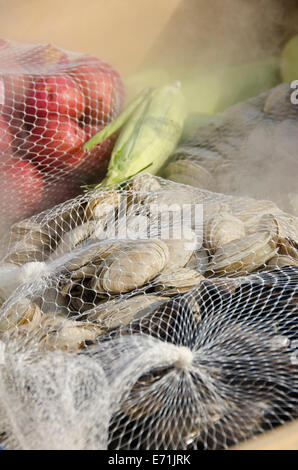 USA, Massachusetts, Martha es Vineyard Vineyard Haven. Traditionelle New England Muschel backen. Stockfoto