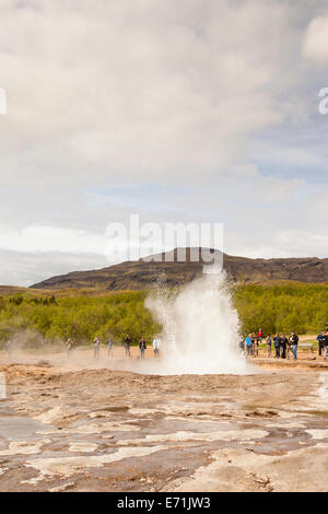 Strokkur Geysir ausbrechen im Bereich Geysir heißen Quellen geothermische Gebiet Haukadalur, Südwest Island Stockfoto