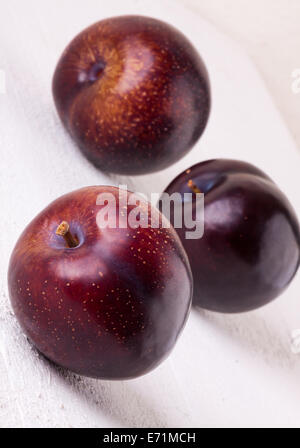 Frische reife rote saftige appetitliche Pflaume Nahaufnahme mit Stiel, die vor der Kamera in ein Konzept für eine gesunde Ernährung und Diät mit Stockfoto