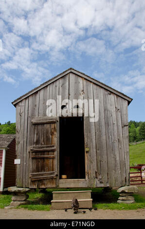 USA, New York, Cooperstown, Bauern Museum. Open-Air-Museum. Huhn mit Küken vor Brooks Scheune. Stockfoto