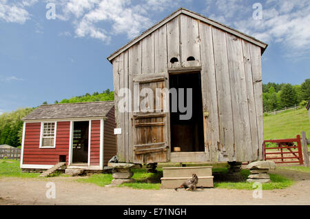 USA, New York, Cooperstown, Bauern Museum. Open-Air-Museum. Huhn mit Küken vor Brooks Scheune. Stockfoto