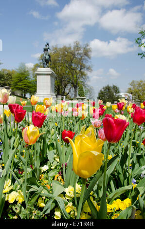 Nashville Tennessee, USA. Tennessee State Capitol, Ostgarten, Reiterstandbild von Andrew Jackson umgeben von Tulpen. Stockfoto