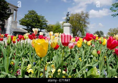 Nashville Tennessee, USA. Tennessee State Capitol, Ostgarten, Reiterstandbild von Andrew Jackson umgeben von Tulpen. Stockfoto