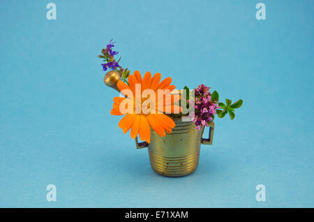 medizinische Blumen in Vintage Messing Mörser auf blauem Hintergrund Stockfoto